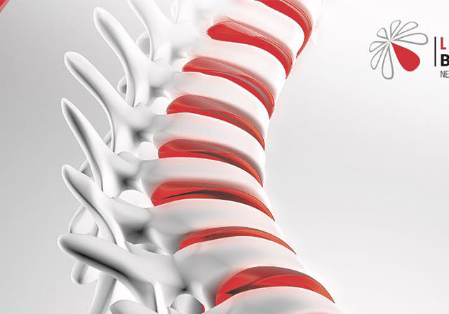 VDR рецепторот за витамин Д