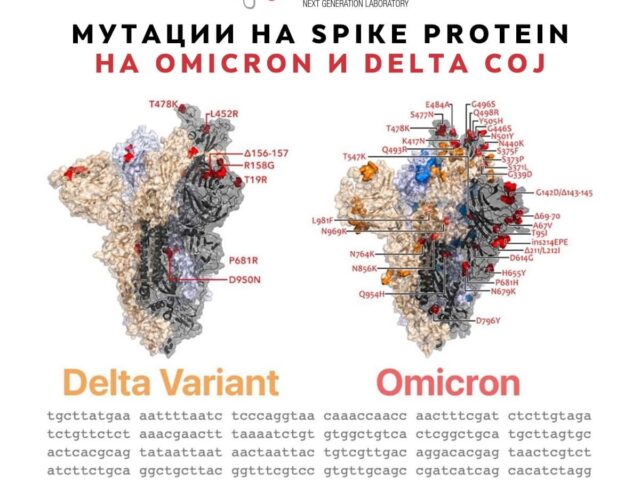 Известување